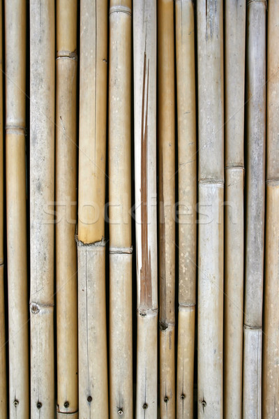 Bamboo Panel Stock photo © vichie81