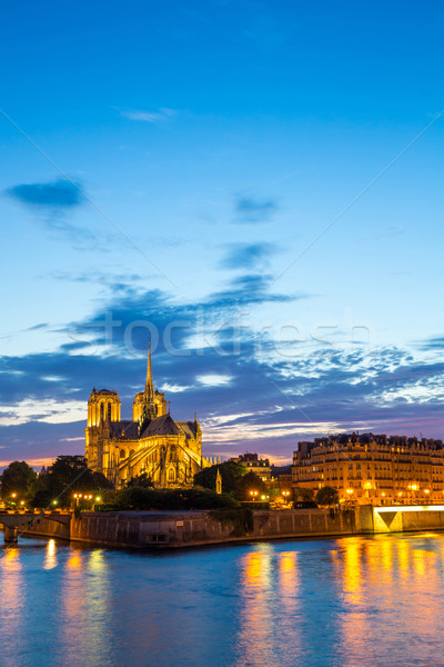 Notre Dame Cathedral Paris Stock photo © vichie81