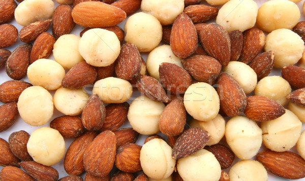 Almond and macadamia Stock photo © vichie81