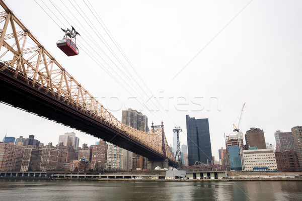 New York from Roosevelt island  Stock photo © vichie81