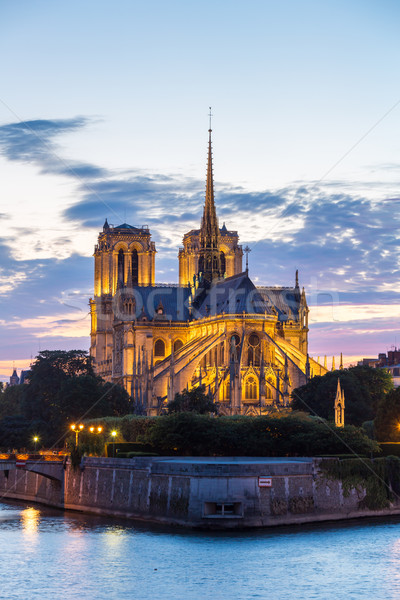 Notre Dame Cathedral Paris dusk Stock photo © vichie81