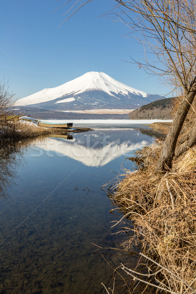 Winter Mount Fuji meer reflectie sneeuw Stockfoto © vichie81