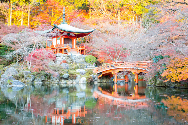 Tempio kyoto Giappone autunno cinese Foto d'archivio © vichie81