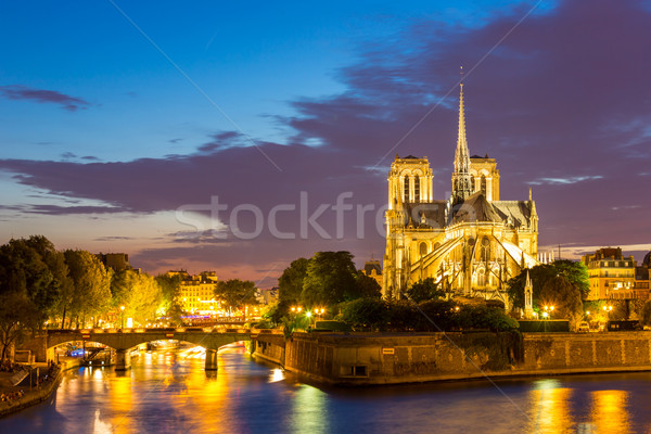 Notre Dame Parijs schemering stadsgezicht rivier Frankrijk Stockfoto © vichie81