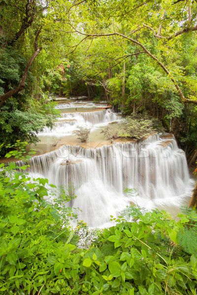 熱帶 熱帶雨林 瀑布 公園 泰國 水 商業照片 © vichie81