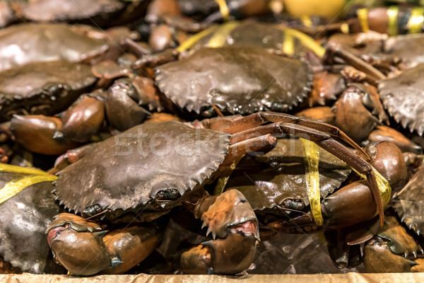 Fresh Raw Crab Stock photo © vichie81