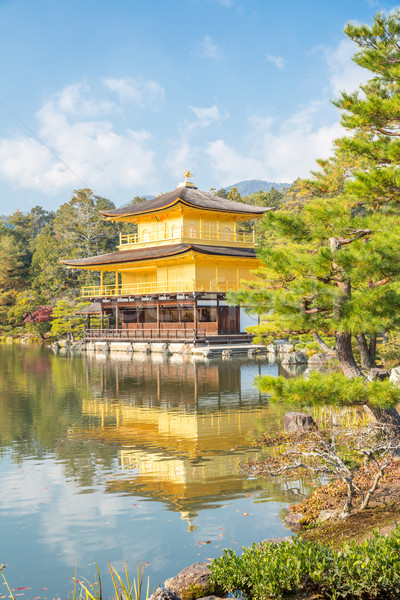 Templo quioto dourado Japão árvore jardim Foto stock © vichie81