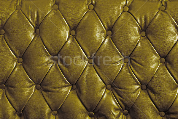 gold genuine leather Stock photo © vichie81