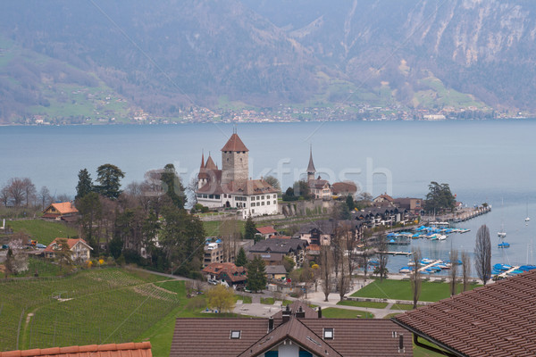 Lake thun at Spiez Switzerland Stock photo © vichie81