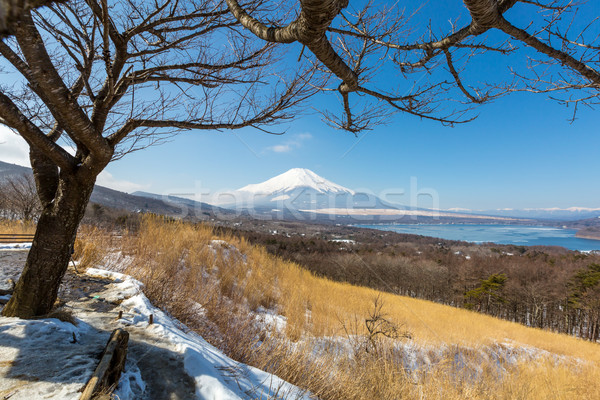 panorama view point Fujisan Yamanaka Lake Stock photo © vichie81