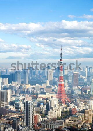 Токио башни Skyline Япония город горные Сток-фото © vichie81