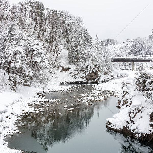 日本 冬 美しい 降雪 風景 空 ストックフォト © vichie81