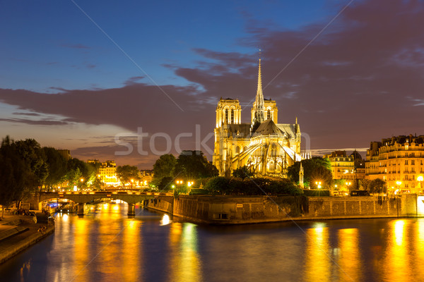 Notre Dame Parijs schemering stadsgezicht rivier Frankrijk Stockfoto © vichie81