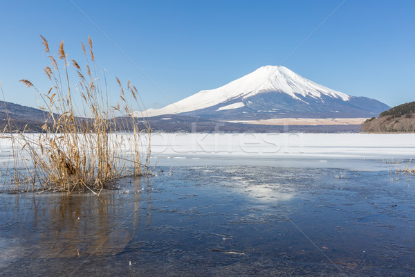 Winter Mount Fuji Yamanaka Lake Stock photo © vichie81