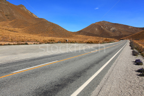 Lindis Pass New Zealsnd Stock photo © vichie81