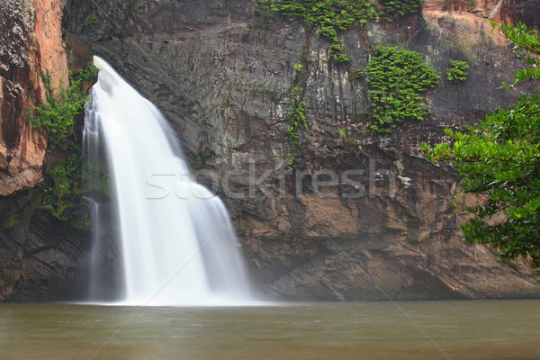 tropical waterfall Stock photo © vichie81