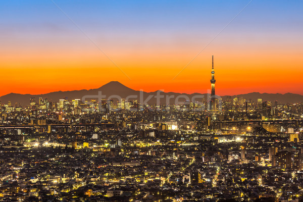 Tokyo apus oraş munte fuji Imagine de stoc © vichie81