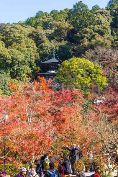 Templom Kiotó ősz Japán fa kert Stock fotó © vichie81