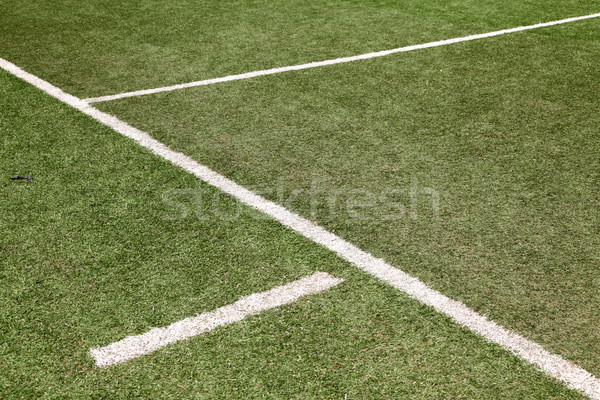 white line on soccer football field Stock photo © vichie81