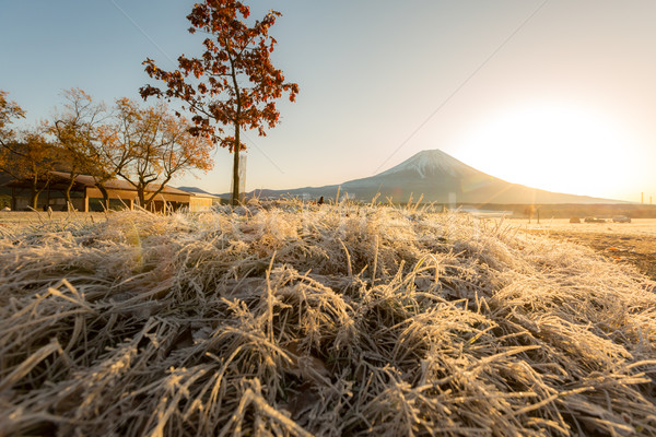 Foto stock: Monte · Fuji · nascer · do · sol · neve · inverno · legal · Ásia