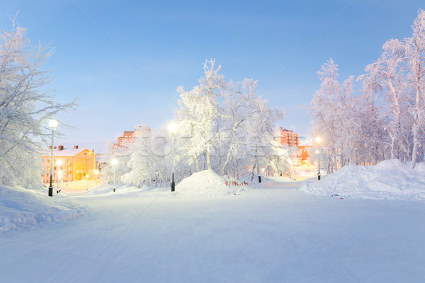 Stock photo: Winter landscape City Garden