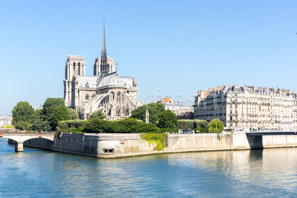 Cattedrale Parigi champagne fiume Francia Foto d'archivio © vichie81