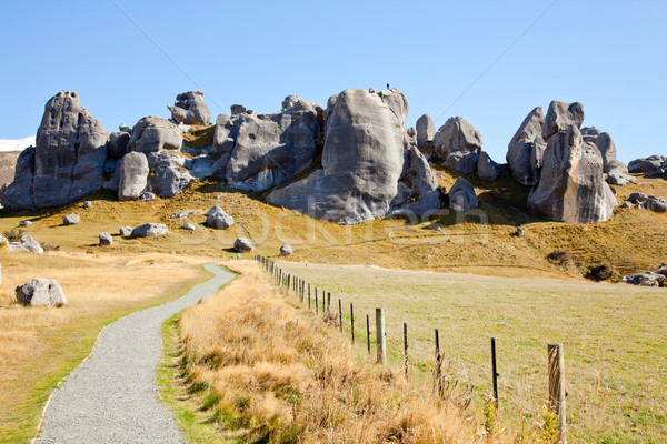 Castle Hill New Zealand Stock photo © vichie81