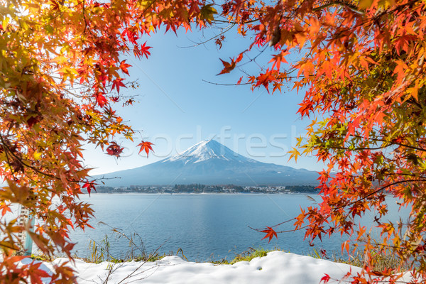 Mt. Fuji in autumn Stock photo © vichie81