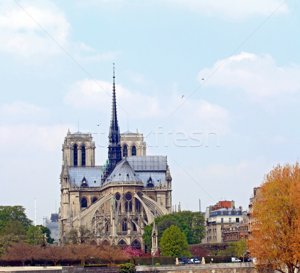 Stock photo: Cathedral Notre Dame Paris 