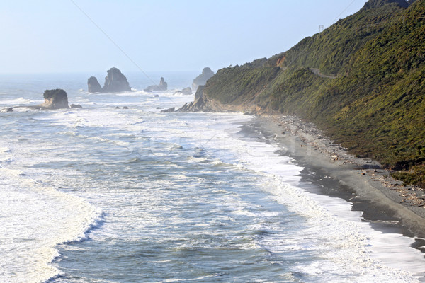 New Zealand Coastal line Stock photo © vichie81