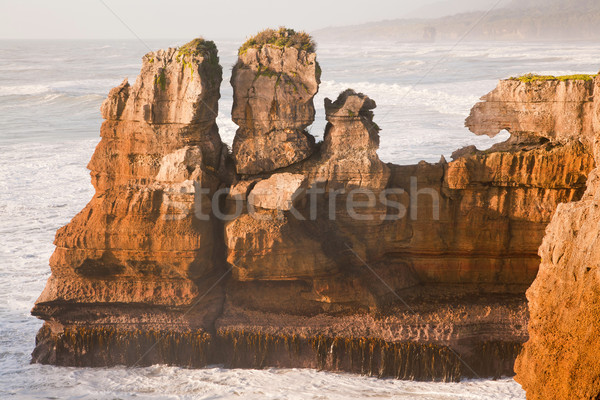 Grand canyon of New Zealand Stock photo © vichie81