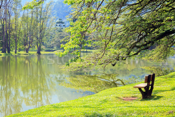 Meer tuin houten stoel water huis home Stockfoto © vichie81