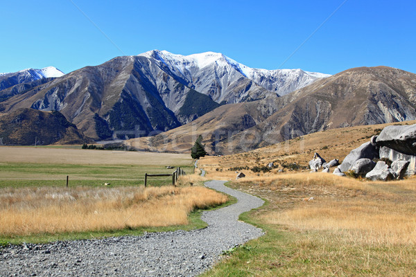 curve pathway to the mountain Stock photo © vichie81