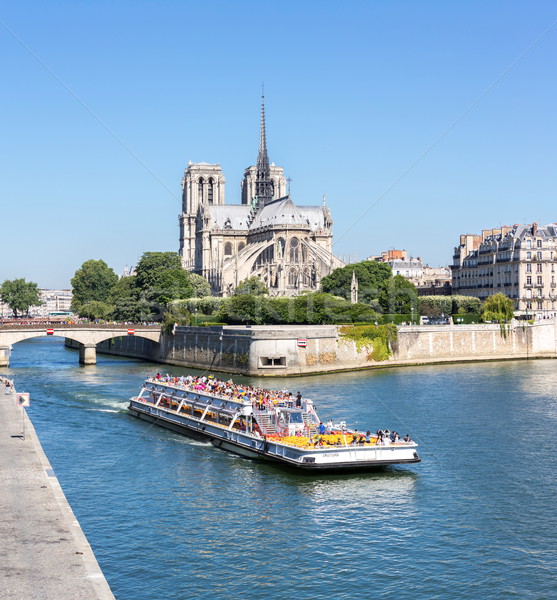 Paris Notre Dame Panorama Stock photo © vichie81