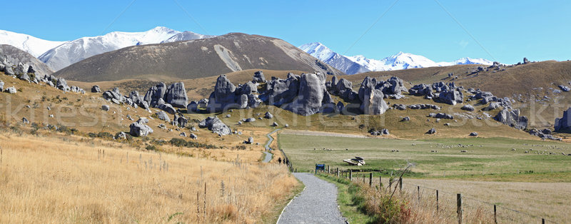 curve pathway at Castle Hill alps mountain range New Zealand Stock photo © vichie81