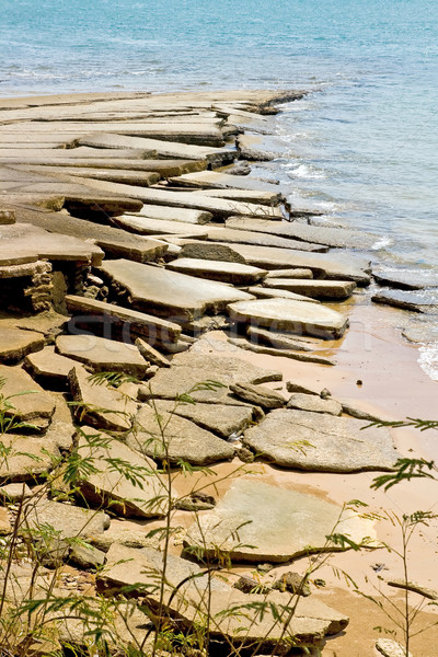 化石 泰國 海 殼 喀比 海灘 商業照片 © vichie81