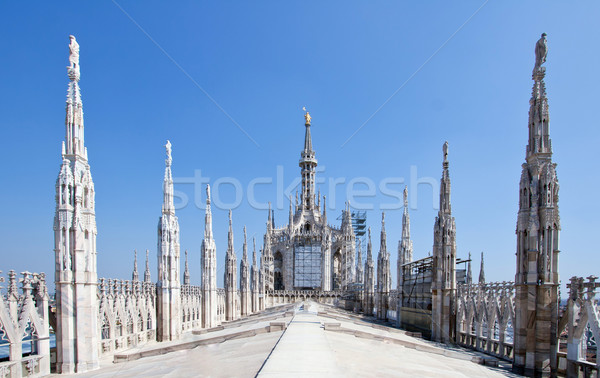 ミラノ 大聖堂 表示 建築ディテール ミラノ 屋根 ストックフォト © vichie81