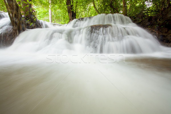 Tropical Rain forest waterfall Stock photo © vichie81