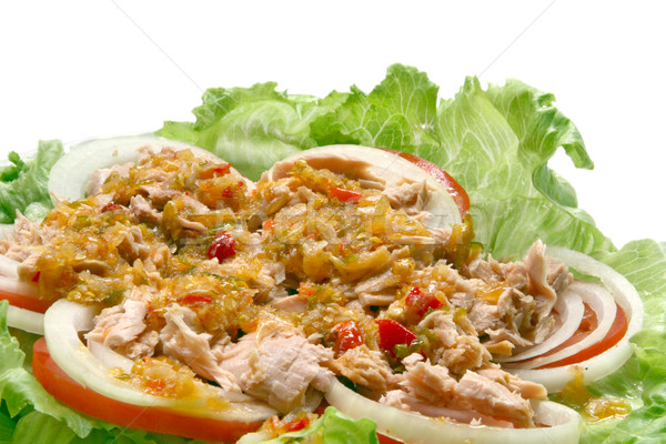 Thai gekruid tonijn groene salade Stockfoto © vichie81