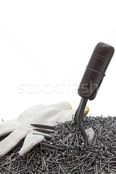 glove hook nails Stock photo © vichie81