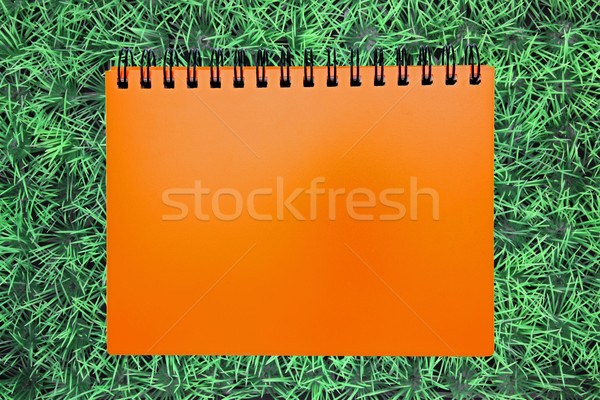 blank orange ring binding on green grass Stock photo © vichie81