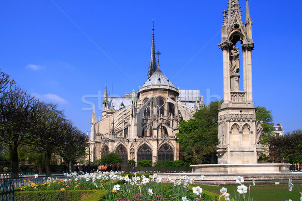 Cathedral Notre Dame Paris  Stock photo © vichie81