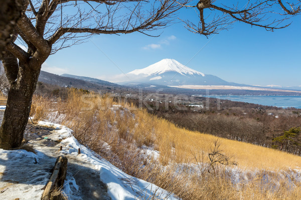 Panorama punt meer antenne Mount Fuji Stockfoto © vichie81