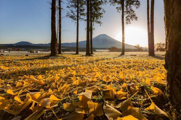 Mount Fuji zonsopgang sneeuw winter cool asia Stockfoto © vichie81