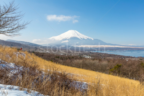 Panorama punt meer antenne Mount Fuji Stockfoto © vichie81