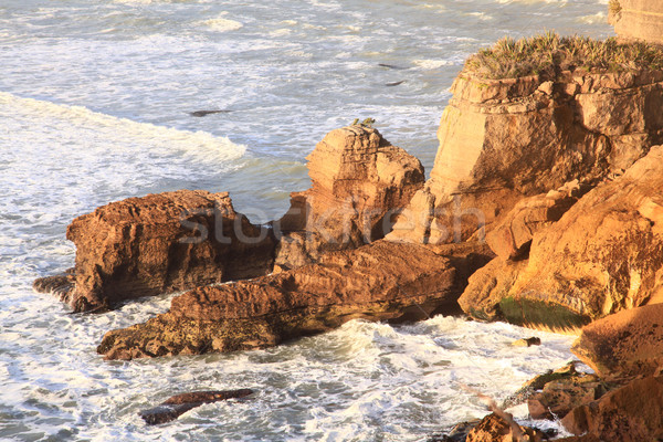 coastal line canyon at west coast of New Zealand Stock photo © vichie81