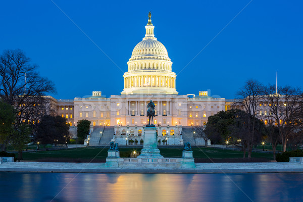 US Capitol Building Stock photo © vichie81