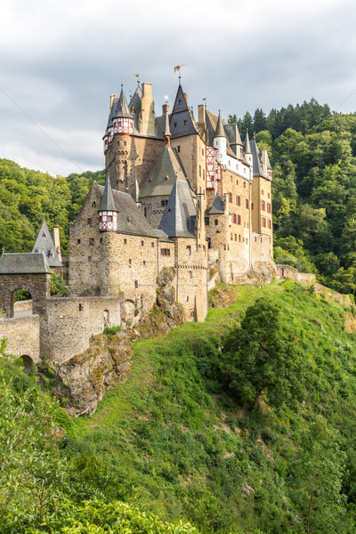Castelo ver Alemanha madeira paisagem torre Foto stock © vichie81