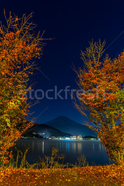 Mt. Fuji in autumn Stock photo © vichie81