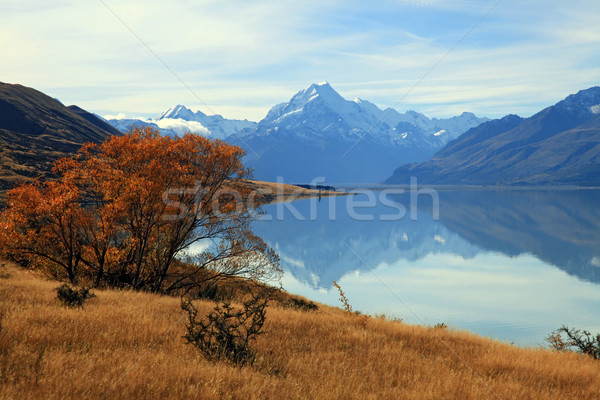 landscape of mountain Cook with its reflection from Lake Pukaki Stock photo © vichie81